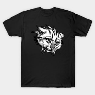 Spider Cat T-Shirt